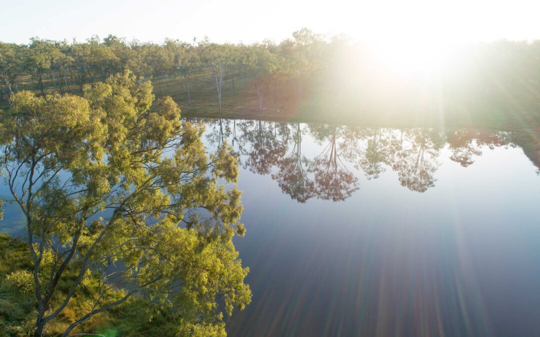 Discover the tranquil beauty of Park Lake