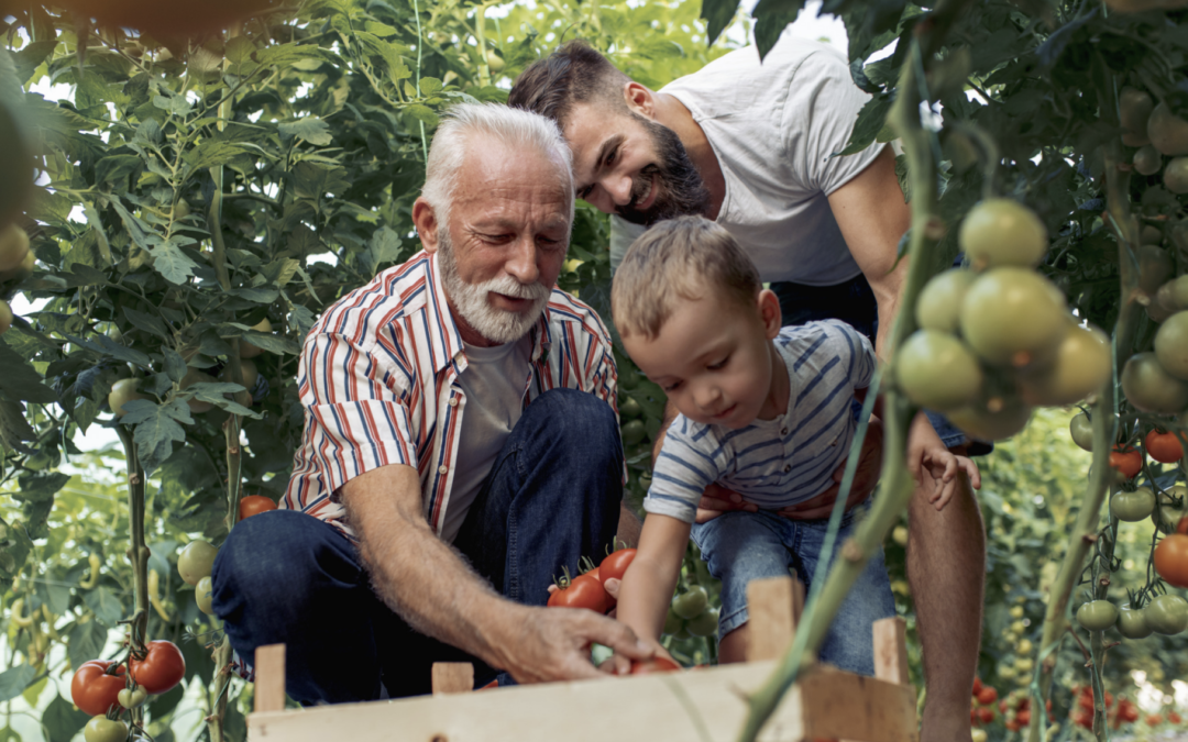 Homegrown Happiness Starts Here